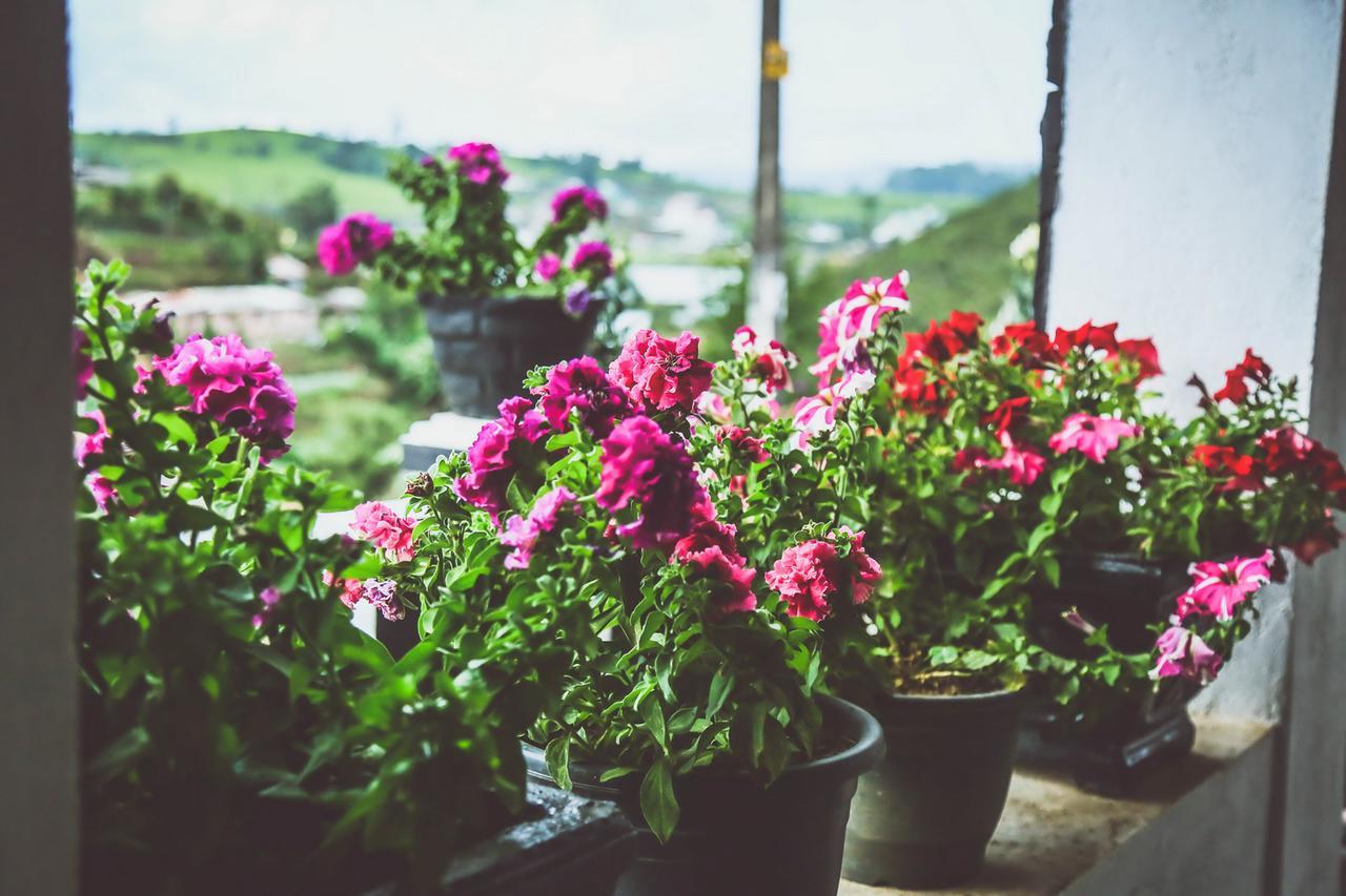 Hotel Himawari Hills Nuwara Eliya Zewnętrze zdjęcie
